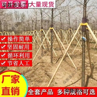 �G�����ľ�UС��ʡ���Ԙ�����������U�����@��С�^��ľ֧�μ�