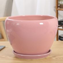 花盆陶瓷简约白色分体带托盘加厚大号特大号室内桌面苹果型大花盆