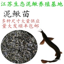 ̨��С���q�籾�����q�|�����qˮ���r���Bֳ��ˮ�������~���