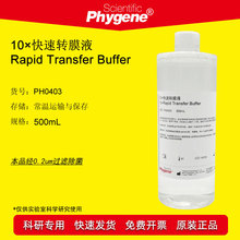 10×快速转膜液 Rapid Transfer Buffer 500mL PH0403 PHYGENE