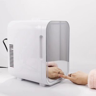 Cross-border export 8-liter mirror LED cosmetics student Mini small car home dual-use mini cold and warm dual-use refrigerator
