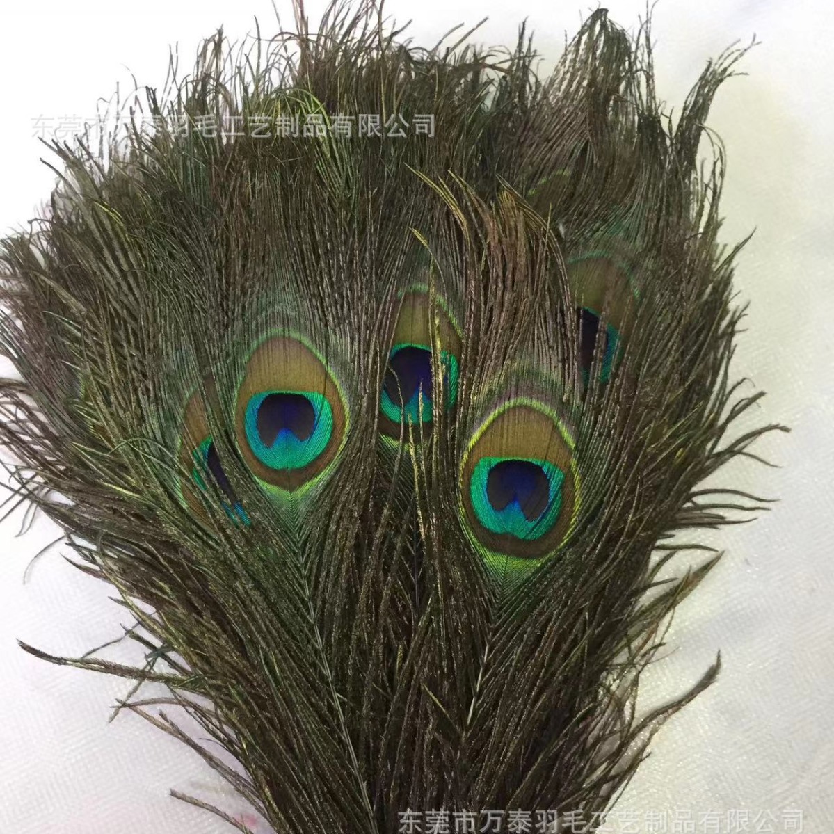 Spot 25-110cm pelo de pavo real plumas de pavo real al por mayor accesorios de joyería arreglo floral plumas decoración de plumas naturales