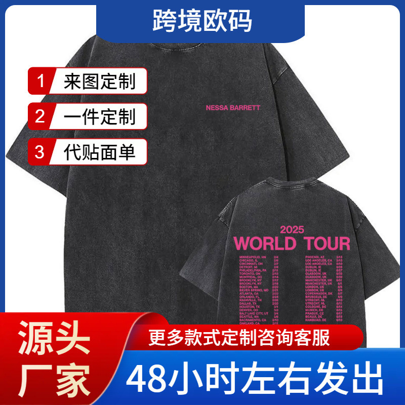 Nessa Barrett Aftercare Tour 2025 Retro Washed T-Shirt Men's and Women's Fashion Popular Punk