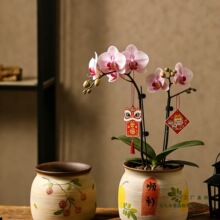 ������մɻ�����Ï͹�С̖�����lؔ�������Gֲ������ʽ�����m��