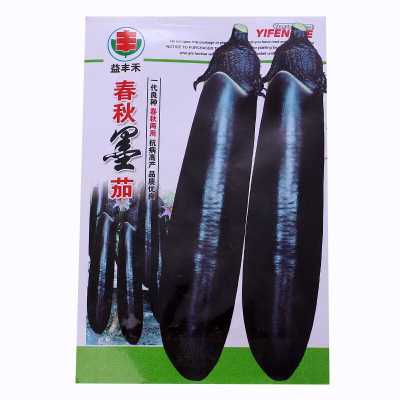 黑马墨茄 蔬菜种子 春秋两用 茄子种子 肉厚嫩 蔬菜种子阳台庭院