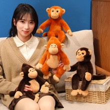 ����������ֺ��L�ۺ��z�﹫�Є���@���ۺﲼ���ބ���@�o��Ʒ