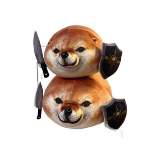 �羳�¿� �ҵĵ��ܹ���what the dog doing������ë�q��߿�ͨ