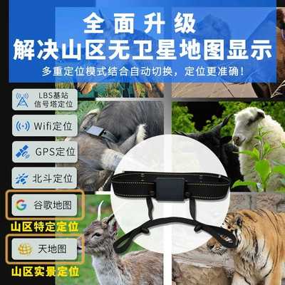 Solar-Powered Rechargeable Tracking Collar for – GPS Locator