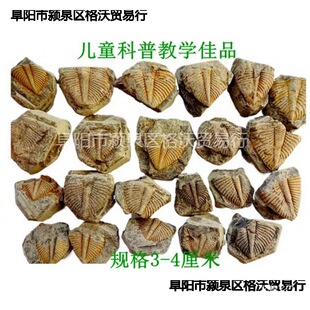 65�̌W��ʯ26�^�pʯβ�Ϳ����dȤ��ͯ覴���Ȼ��ʯ�ջ�ʯ���~�x