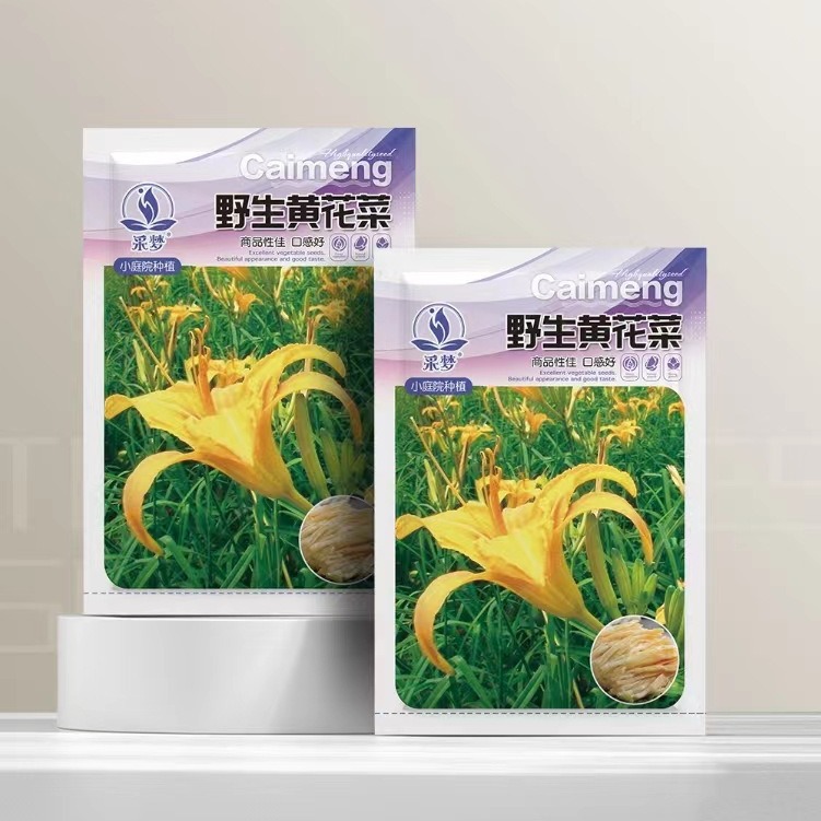 黄花菜种子黄花菜种籽金针菜种子多年生蔬菜种子特色菜种菜籽30粒