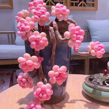 ϡжֲ҃辰ƷҜAҵܺBGֲ