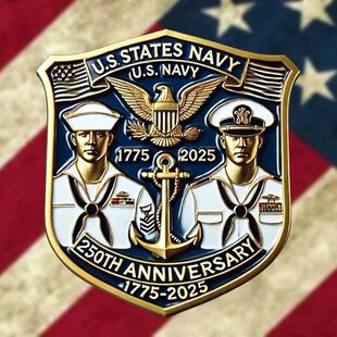 �羳�¿�United States Navy Memorial Pin 250���꺣܊�o��e�