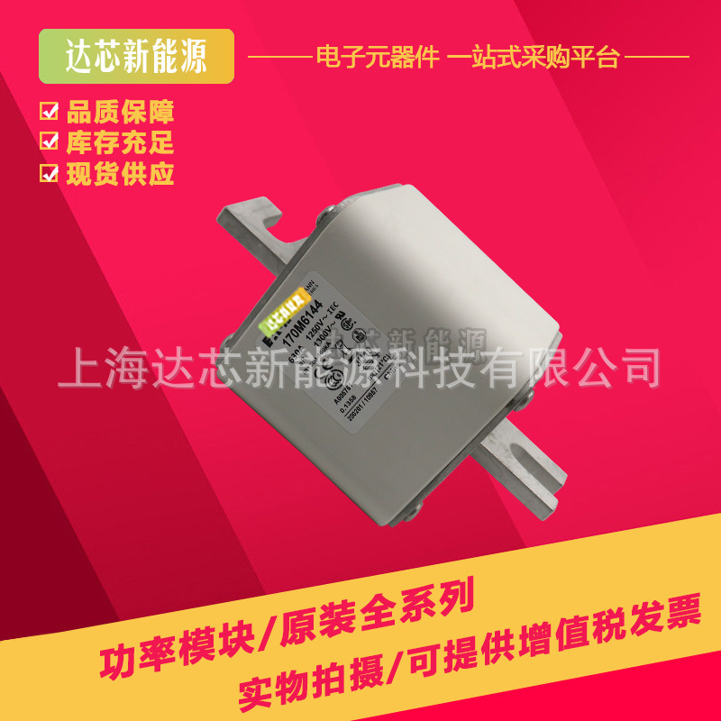 170M6147 170M6148 170M6149 170M6150 170M6151全新巴斯曼熔断器