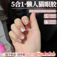 �o����z��Ӱ��¹�؈�ۼ����z2026���¿�С���ݲ����龧ʯ؈���z