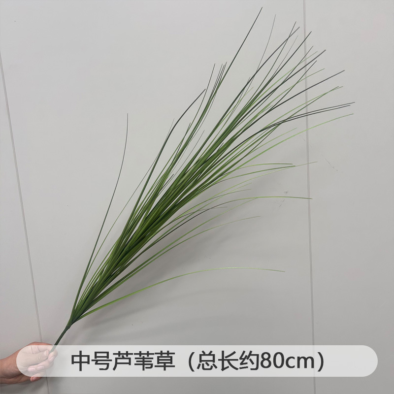 芦荀草绿植花龙须草假花白绿森系婚庆装饰自然风背景插花路引|undefined