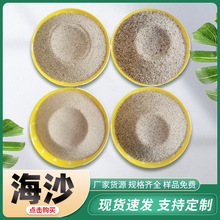 海沙圆粒砂 石油压裂钻井用海沙儿童娱乐沙滩水洗无尘砂海沙