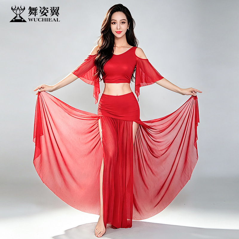 Dancing Wings Belly Dance Practice Outfit for Women 2026 New Long Skirt Set WZY308