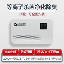 垃圾站除臭机壁挂式等离子空气杀菌除臭商业用净化除味除臭系统