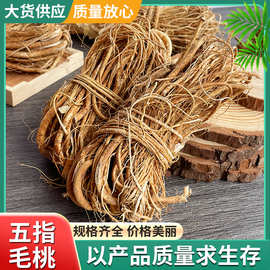 供应广西五指牛奶扎把五指毛桃批发江湖地摊展会五指毛桃根煲汤料