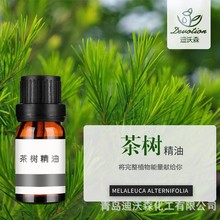 ޲侫Tea Tree oilֲﾫͻyƷԭϼȻֲȡջ