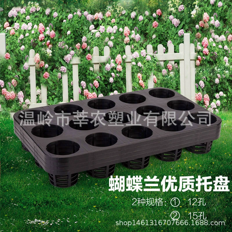 Для лотка для рассады Amazon лоток для фаленопсиса 12 отверстий 15 отверстий мясистый кронштейн пластиковый рассада цветов