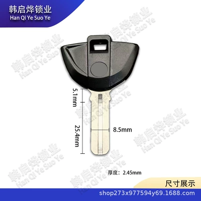 New Model Suitable for Bmw Motorcycle F800Gt R1200R R1200Gs Waterbird Oilbird Key Embryo Chip Key (Motorcycle Key) - bmw-106-black-30585245mm