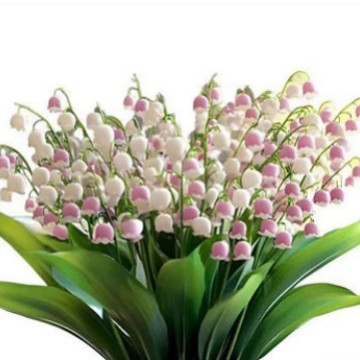 Nuevas flores de orquídea planta de pared interruptor de pegatinas de sala de estar dormitorio decoración del hogar pegatinas autoadhesivas impermeables