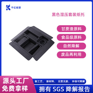 Compostable Sugarcane Bagasse Raw Material Pulp Molding Custom Source Manufacturer Wet Pressed Black Set Paper Tray