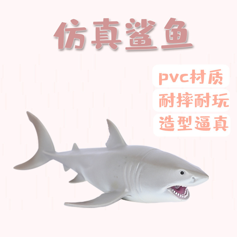Marine children's toy