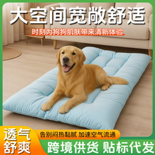 �羳���ﴲ�|��ܛ؈��ͨ��˯�|���坍������C�|֧�����M�N��