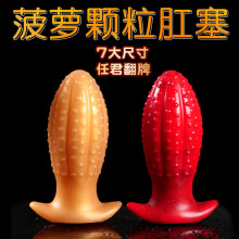 后庭肛门情趣性用品肛塞跨境亚马逊实力厂家供应商爆款一件代发sm