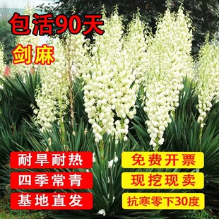 ��������Pβ�z�m���Ի��������m�ͺ�ͥԺֲ��e������G��������