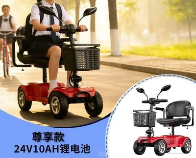 Foldable Lightweight Low-Speed Travel Aid – Qatlanan elektrik velosipedlər - 9inch-off-road-tire-lithium-battery-10asingle-personabout-40-miles