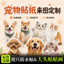 ������Ƭ��ˮ�N�����ƹ����N�����^�N���~؈�������䮐�β����z