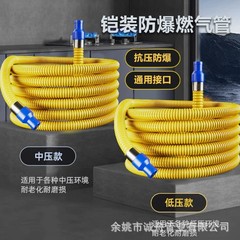 ステンレスガス管ガス管液化ガス管波紋ホース銅頭ガス管新国標44017標準