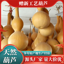 ��Ȼ���J�[����䁼Ҿ��҃ȑҒ�[�Ŵ���J�[��ԭɫ���J����