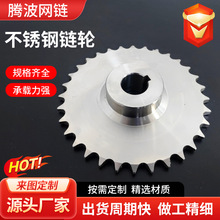 不锈钢链轮齿轮非标定做机械传动链轮双节距单双排不锈钢齿轮链轮