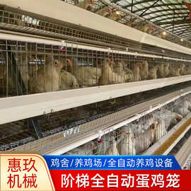 供应阶梯自动化鸡笼冷镀锌 热镀锌自动喂料机捡蛋清粪机养殖设备