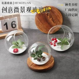 微景观瓶;吸管杯;微景观