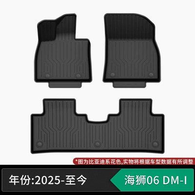 Suitable for BYD, TPE: Modelə uyğun ayaqaltı - 25-present-byd-seastar-06-dm-i-single-layer-tpe-floor-mats-please-specify-vehicle-year-when-ordering