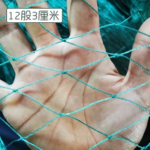 ���پWֲ���������V���ѽz�ϵ����S�ϾW�_�h�������W�Nֲ��ܾW