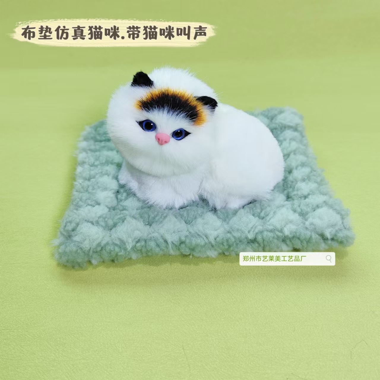 녹색 천 패드 블랙헤드 누워있는 고양이