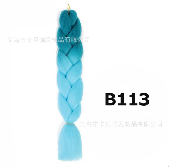 B113