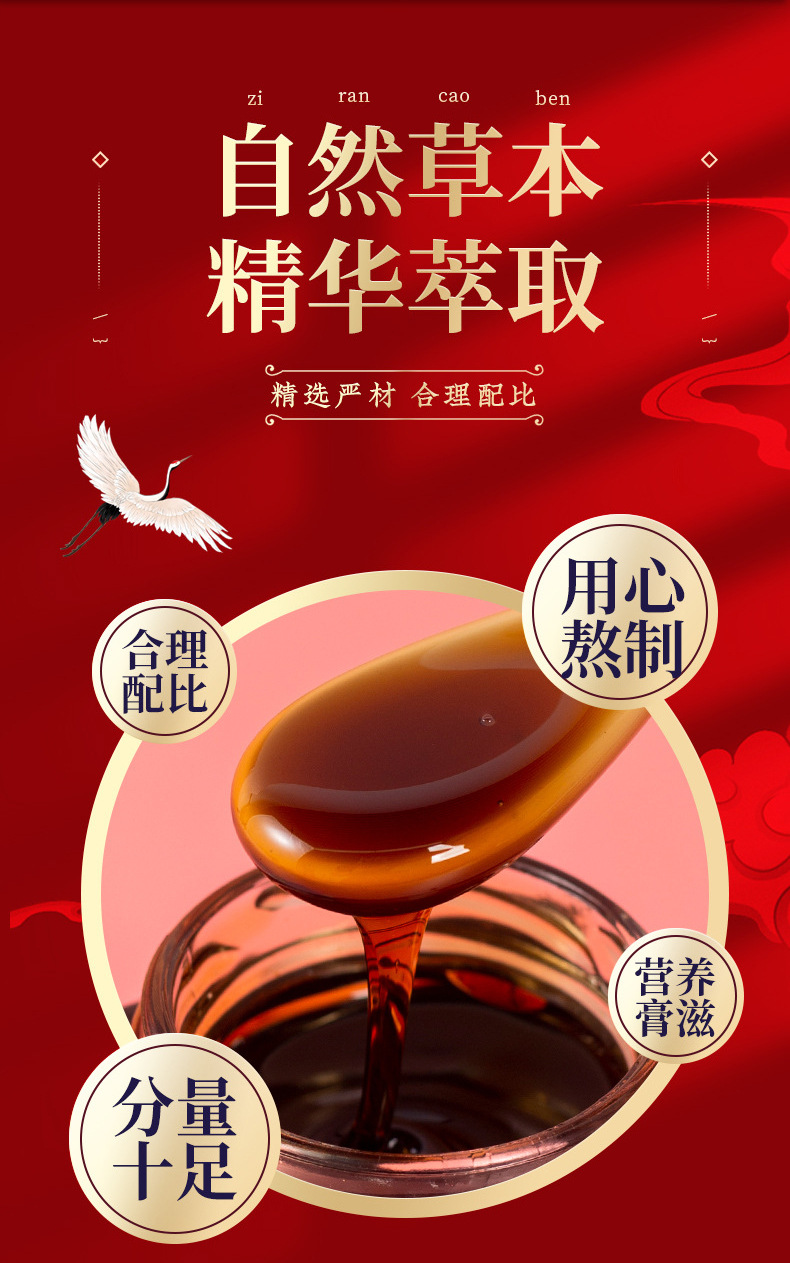 Huangqi Ejiao Dangshen Paste (Astragalus, Donkey-Hide Gelatin & Codonopsis) — 300g Herbal Wellness Paste preparation