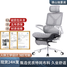 电脑办公久坐舒适人体工学椅 可躺午休升降扶手高靠背老板办公椅