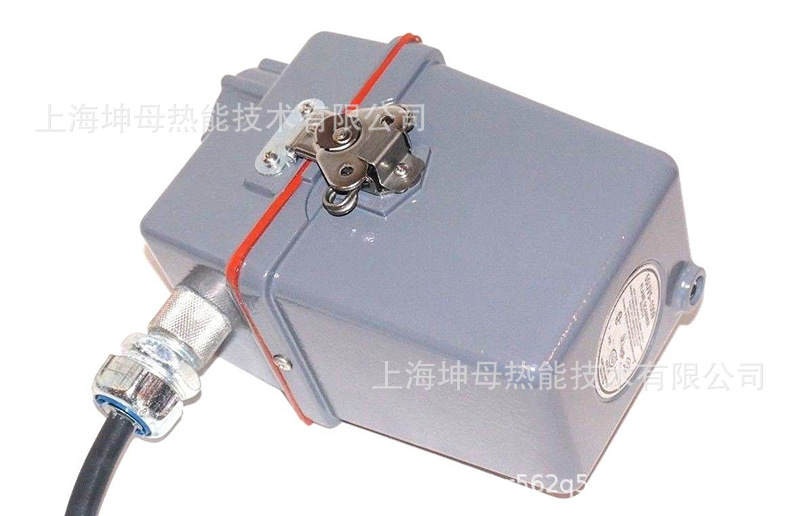 美国fireye火检探头95IRS2-2