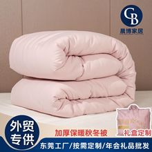东莞厂家家用礼品被员工学生宿舍被芯加厚保暖被子冬季厚款冬被