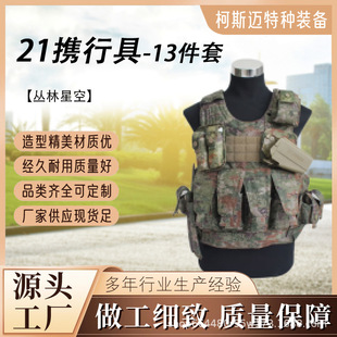 21��ʽ�y�о�13�����Բʑ��g���đ���͸���R��Ӗ���๦�ܔy�о�