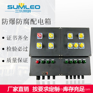 Explosion-Proof and Anti-Corrosion Lighting Power Distribution Box, Waterproof Three-Proof Control Box, Corrosion-Resistant Hazardous Area Button Box, Anti-Explosion