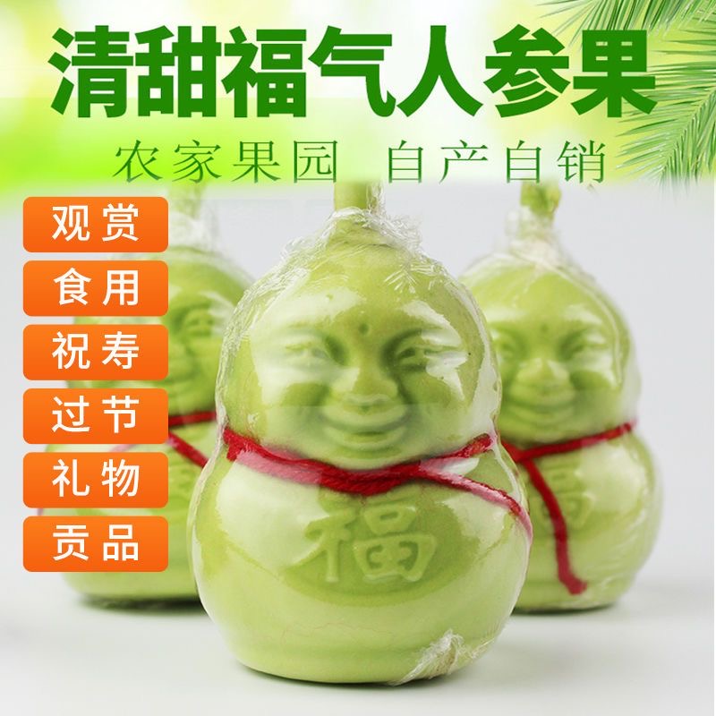 人参果福娃新鲜水果人形果人身果长寿果贡果甜瓜节日礼品罕见水果